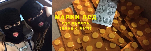 прущие грибы Армянск