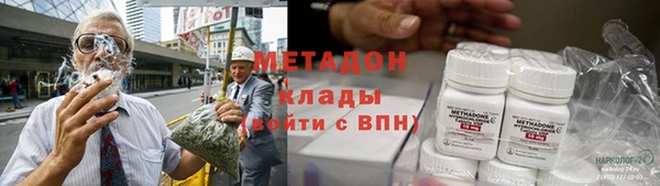 прущие грибы Армянск