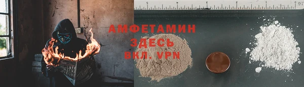 прущие грибы Армянск