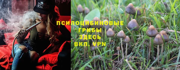прущие грибы Армянск