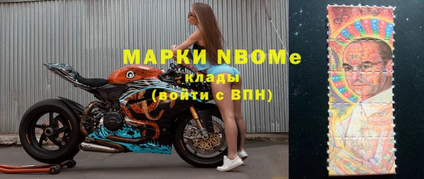 прущие грибы Армянск